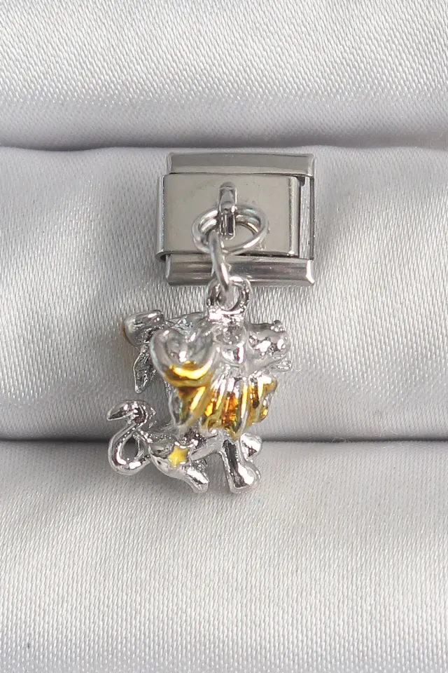 316L Çelik Gümüş Renk Sallantı Aslan Model Nomination Charm